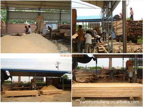 上海旬勒建材 木材加工与建筑材料的专业服务商